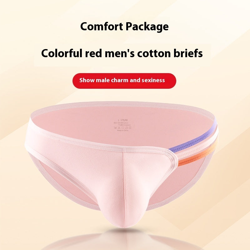 Men's T-shape Rainbow Cotton Breathable Sexy High Elastic Briefs U Bag