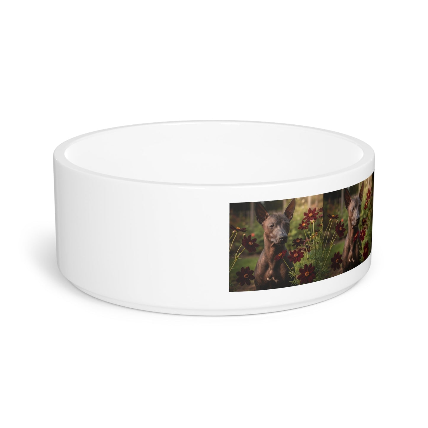 Keramik-Futternapf für Haustiere – 470 ml Hundenapf
