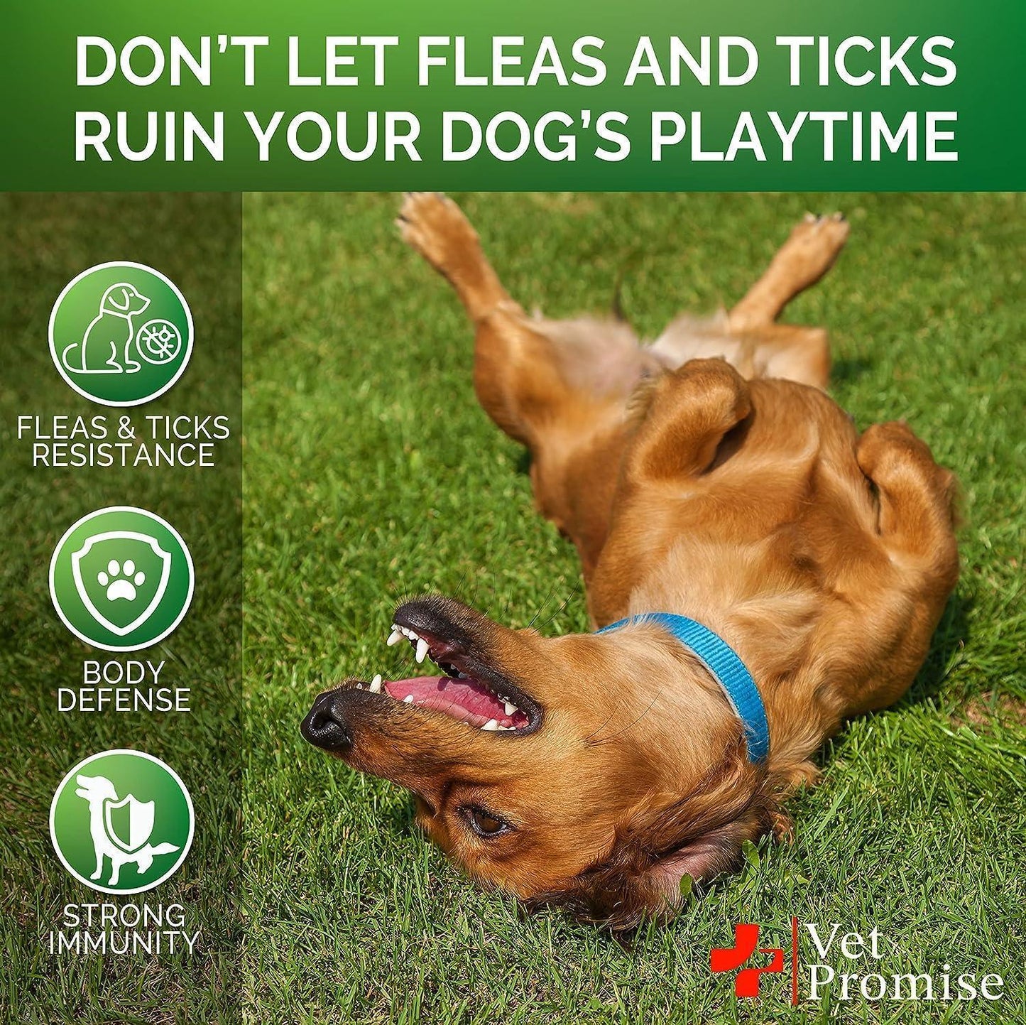 Flea & Tick Chews for Dogs 2-Pack