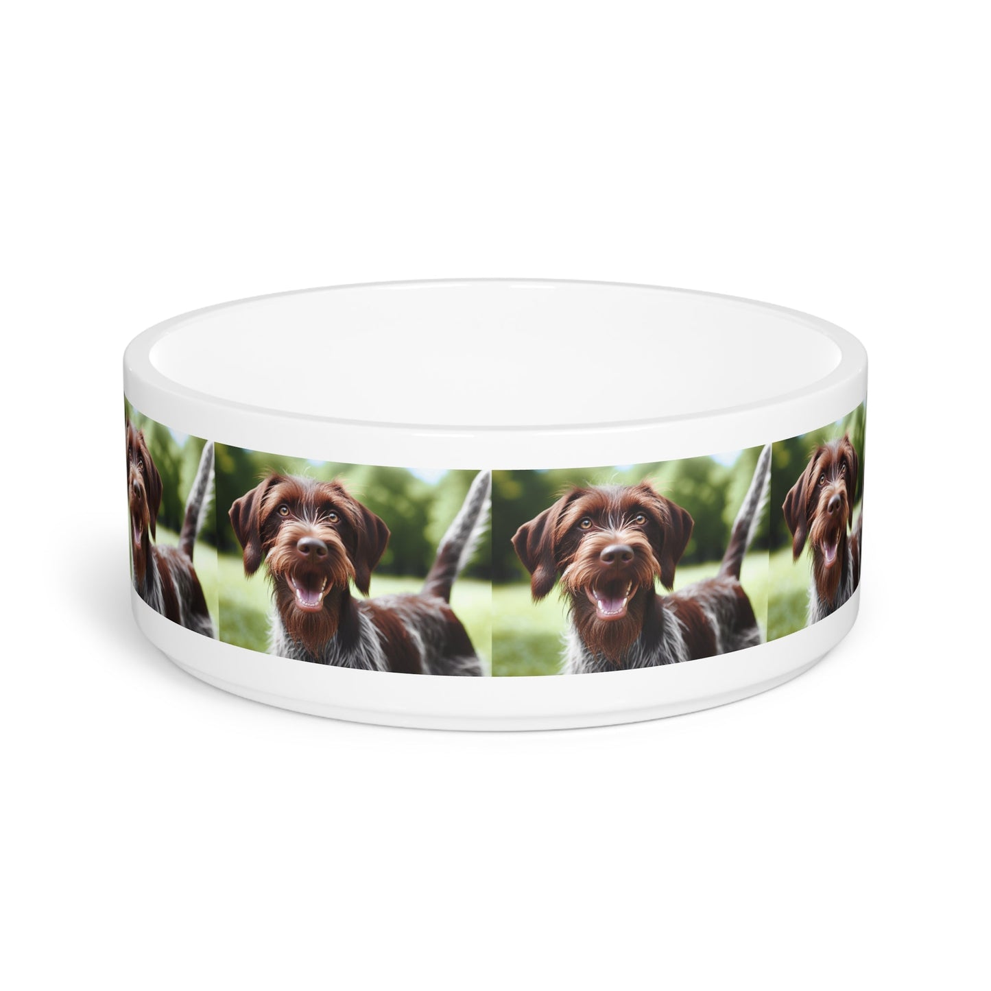 Ceramic Pet Bowl – 16 oz Dog Feeding Bowl