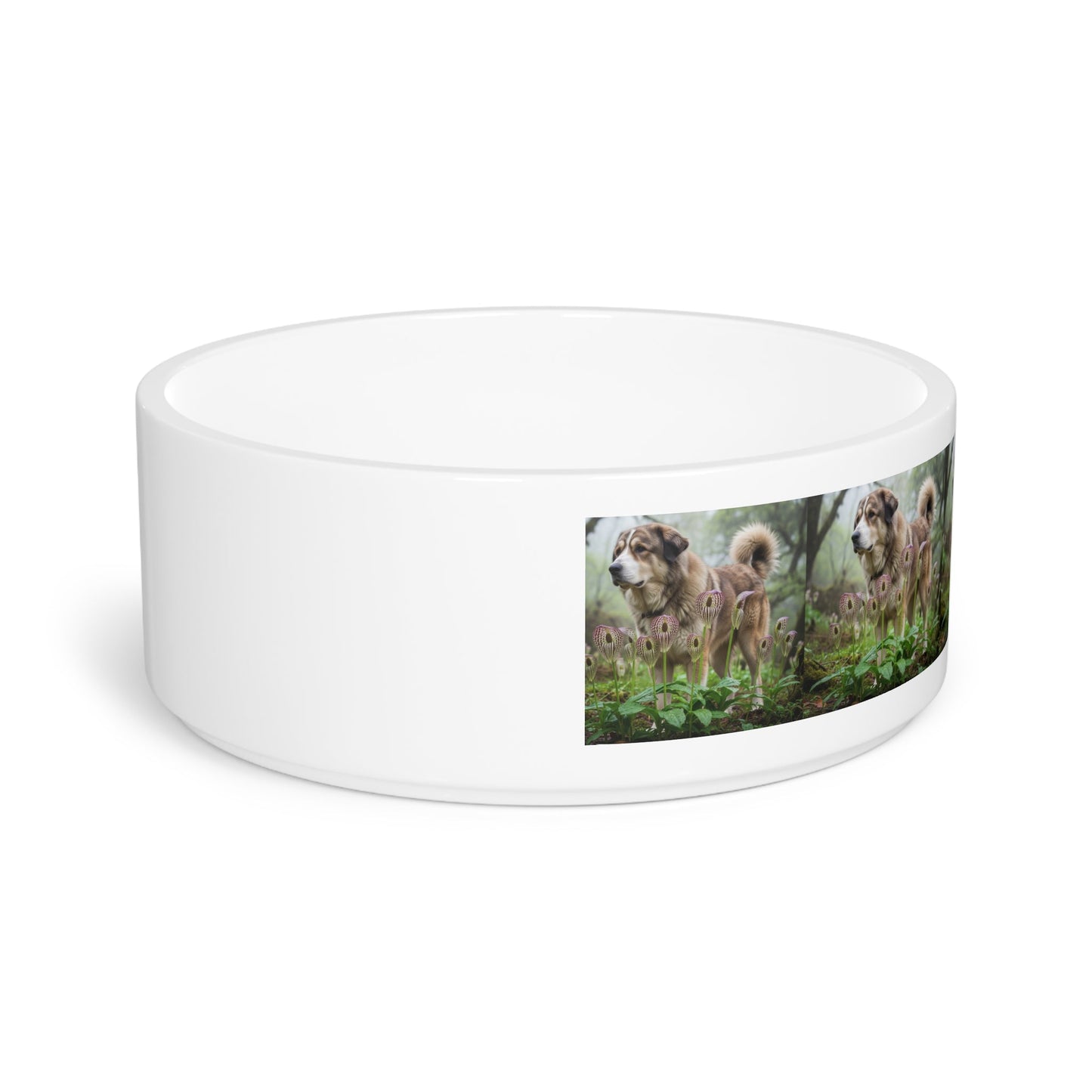Ceramic Pet Bowl – 16 oz Dog Feeding Bowl