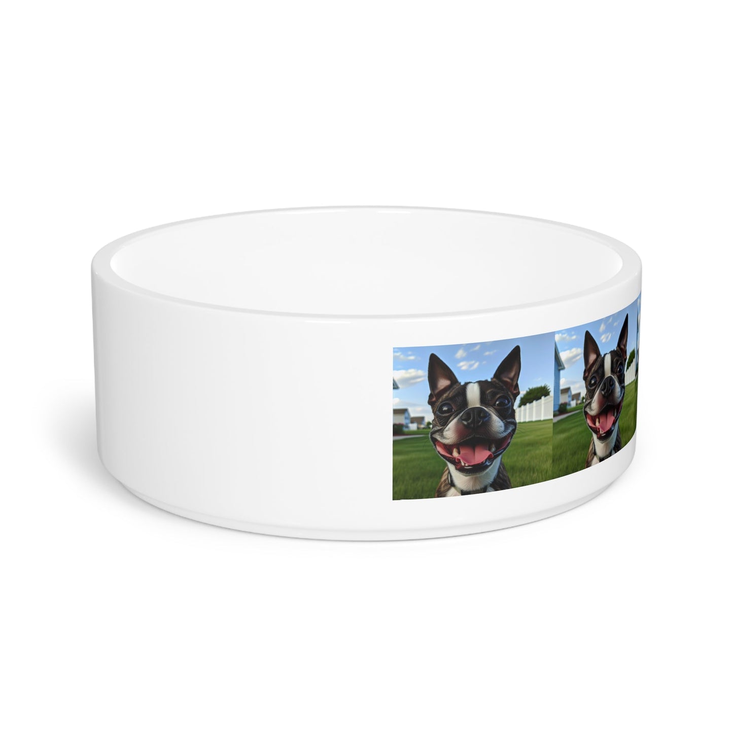 Ceramic Pet Bowl – 16 oz Dog Feeding Bowl