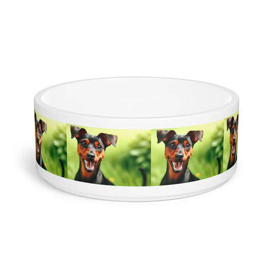 Ceramic Pet Bowl – 16 oz Dog Feeding Bowl