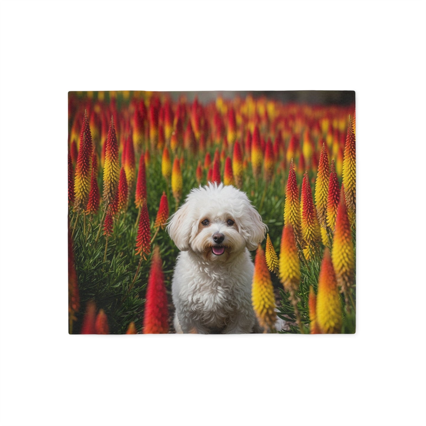 Sweatshirt Blanket – Plush Fleece Throw, 2 Size Options