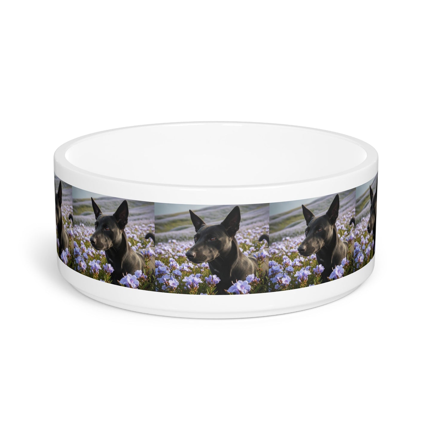 Gamelle en céramique pour animaux de compagnie – Gamelle de 47 cl pour chien