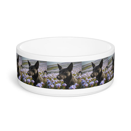 Ceramic Pet Bowl – 16 oz Dog Feeding Bowl