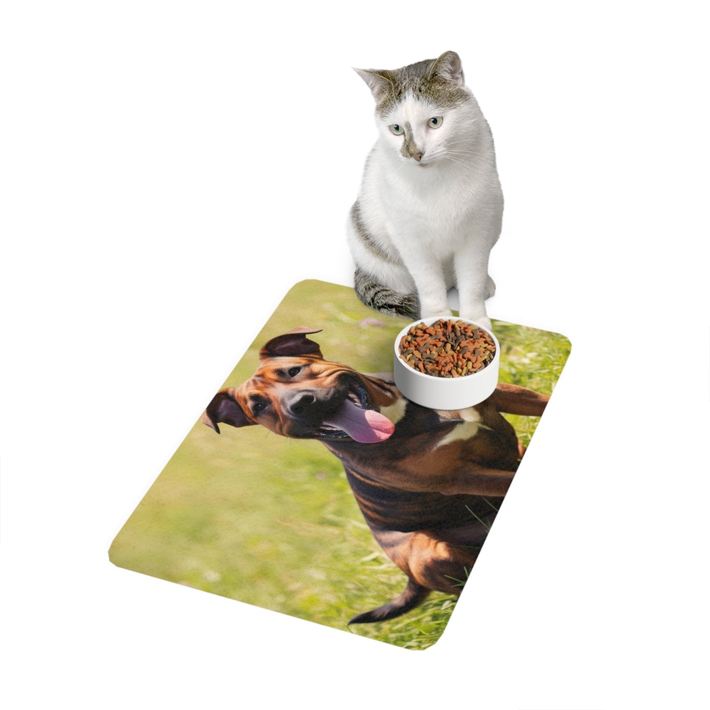Non-Slip Pet Food Mat – Waterproof Feeding Mat for Dogs