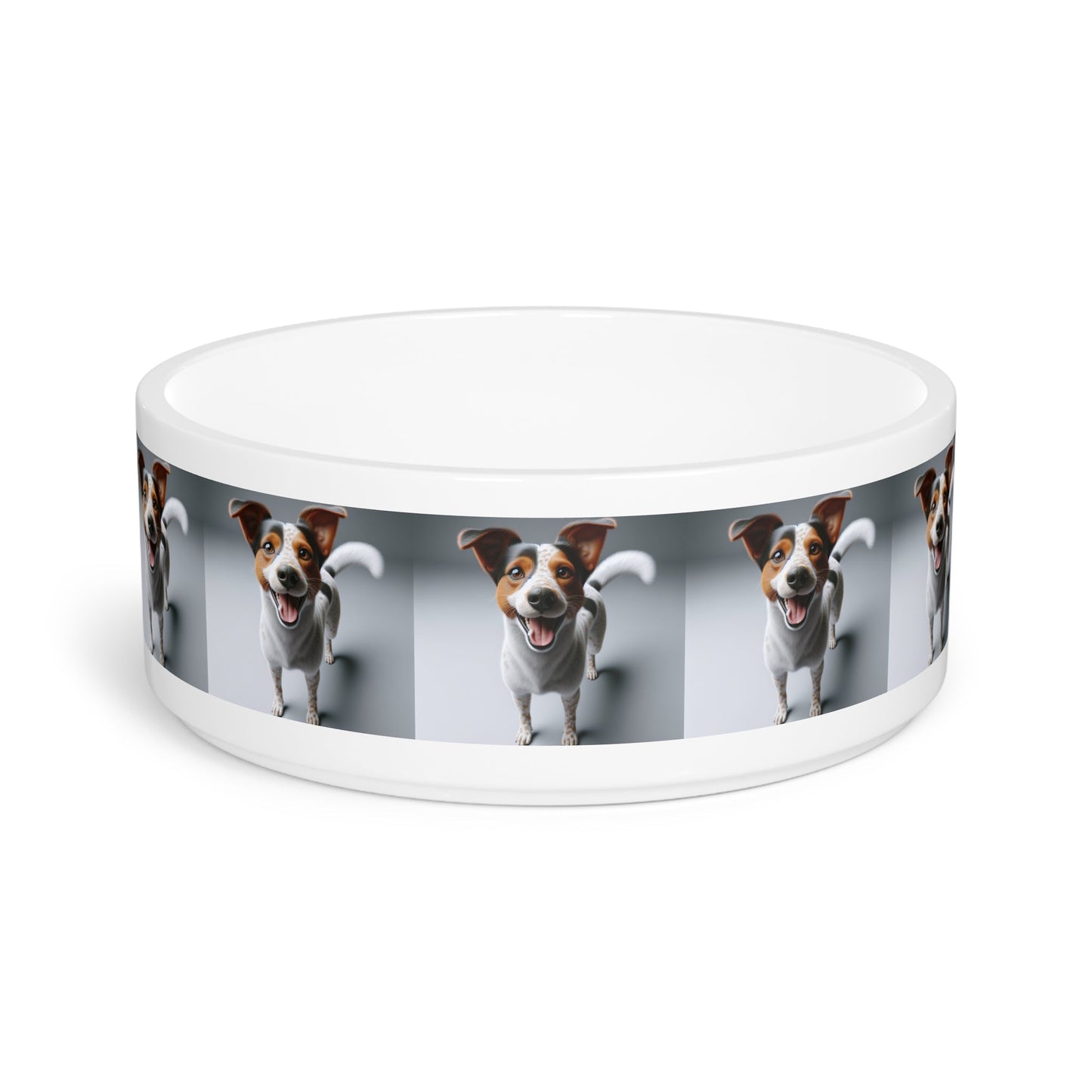 Ceramic Pet Bowl – 16 oz Dog Feeding Bowl