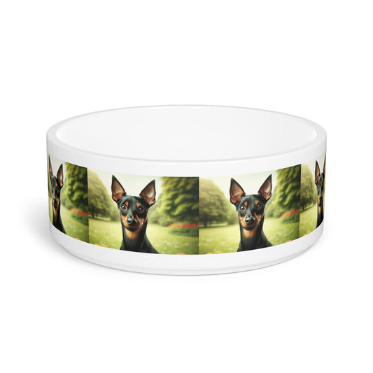 Ceramic Pet Bowl – 16 oz Dog Feeding Bowl