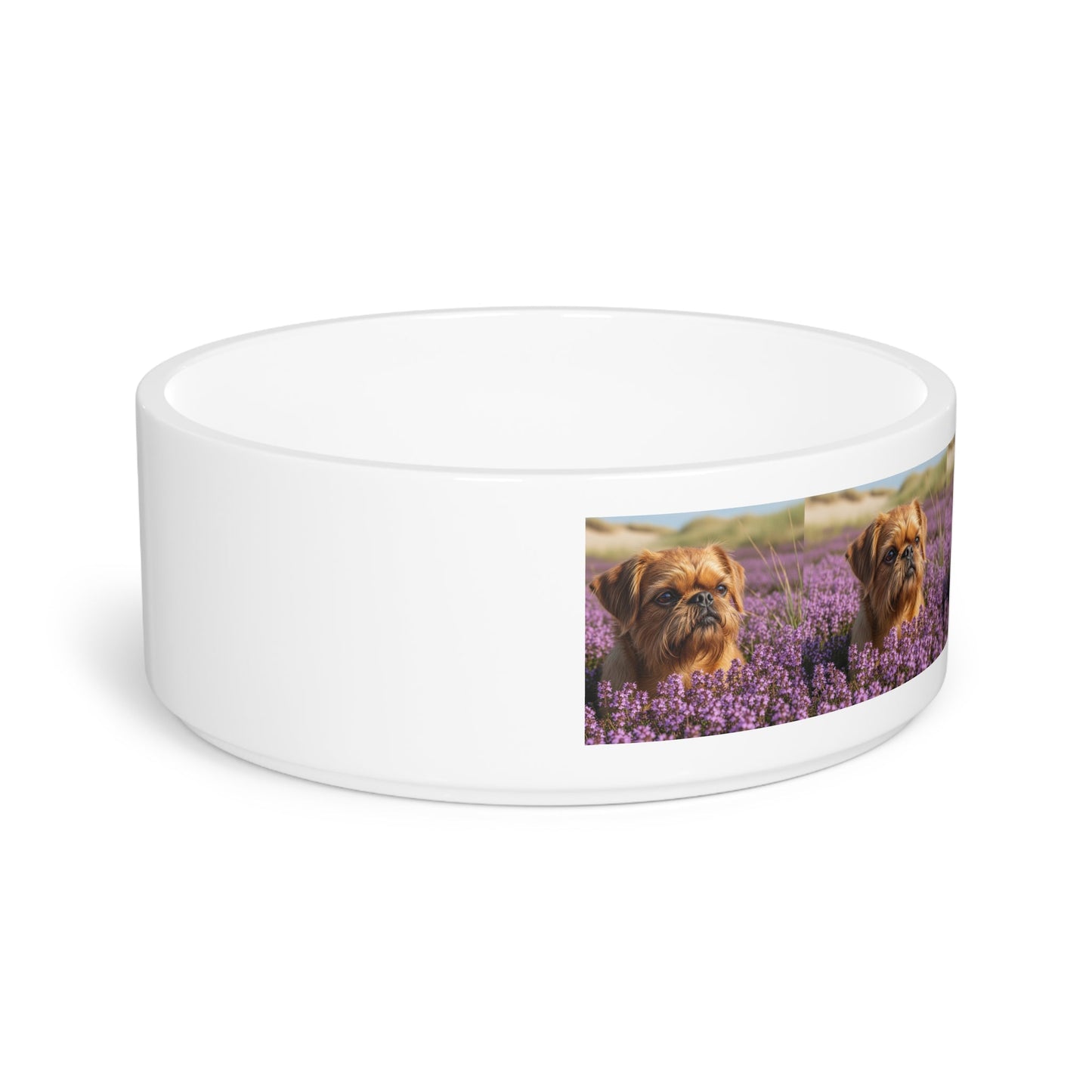 Ceramic Pet Bowl – 16 oz Dog Feeding Bowl