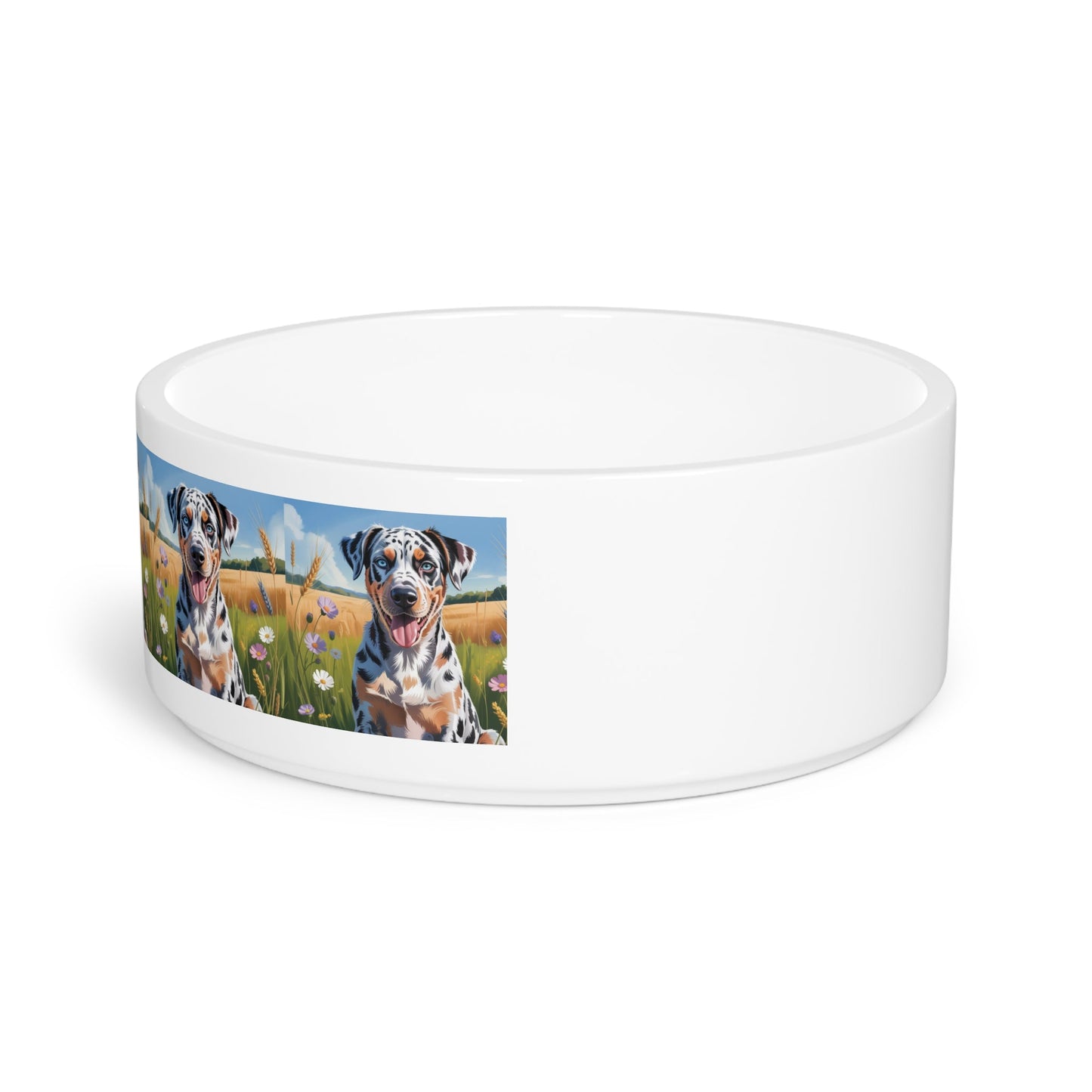 Gamelle en céramique pour animaux de compagnie – Gamelle de 47 cl pour chien