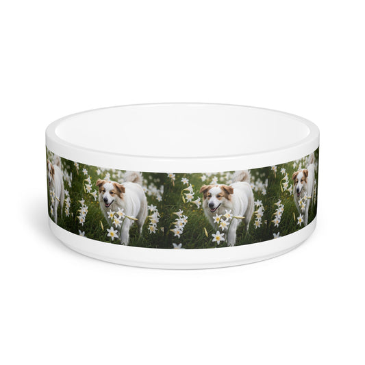 Ceramic Pet Bowl – 16 oz Dog Feeding Bowl