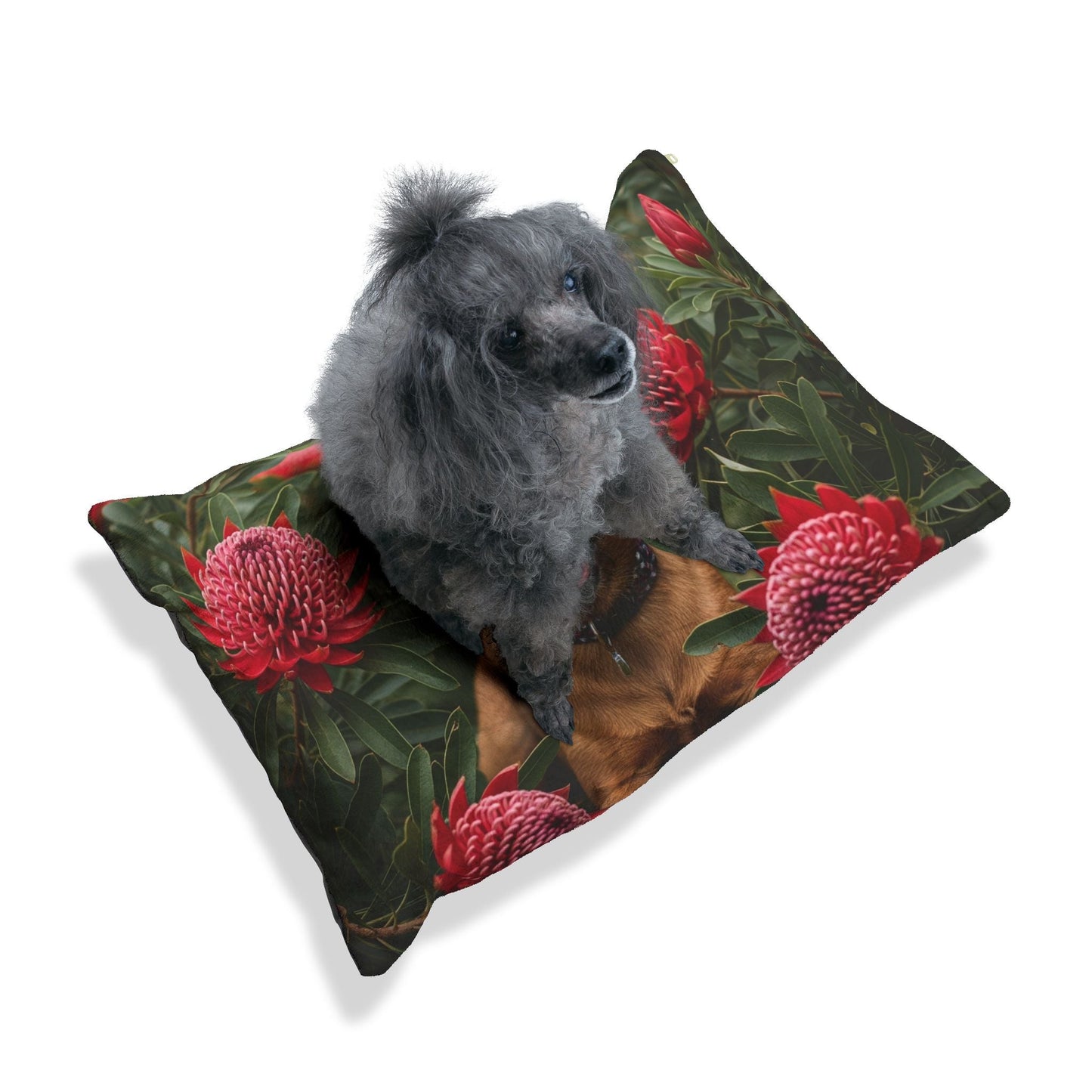 Pet Bed – Plush Dog Bed, 3 Size Options