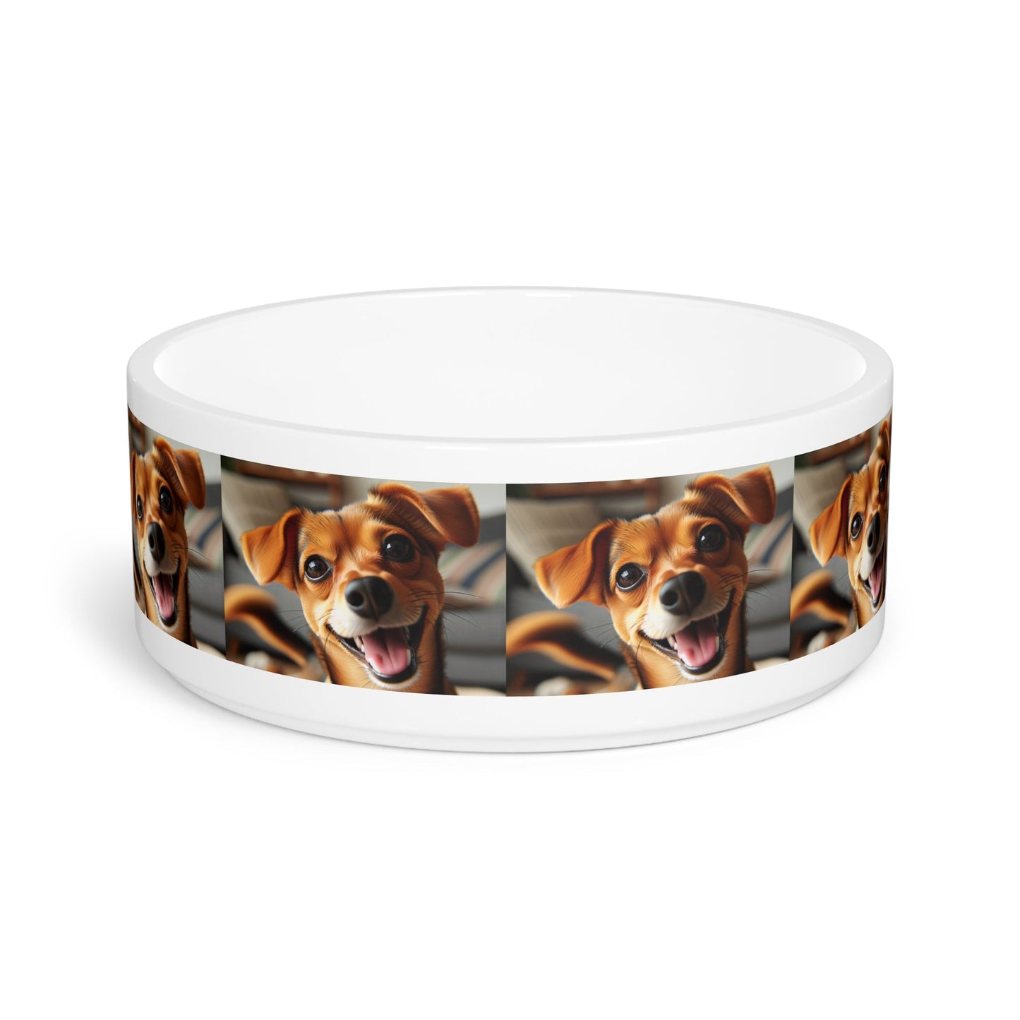 Gamelle en céramique pour animaux de compagnie – Gamelle de 47 cl pour chien