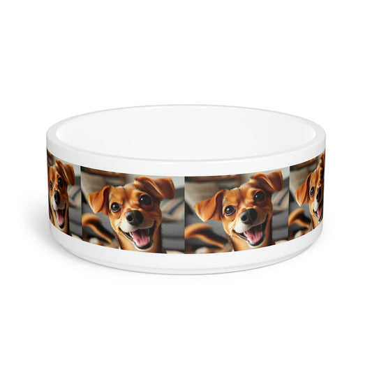 Ceramic Pet Bowl – 16 oz Dog Feeding Bowl
