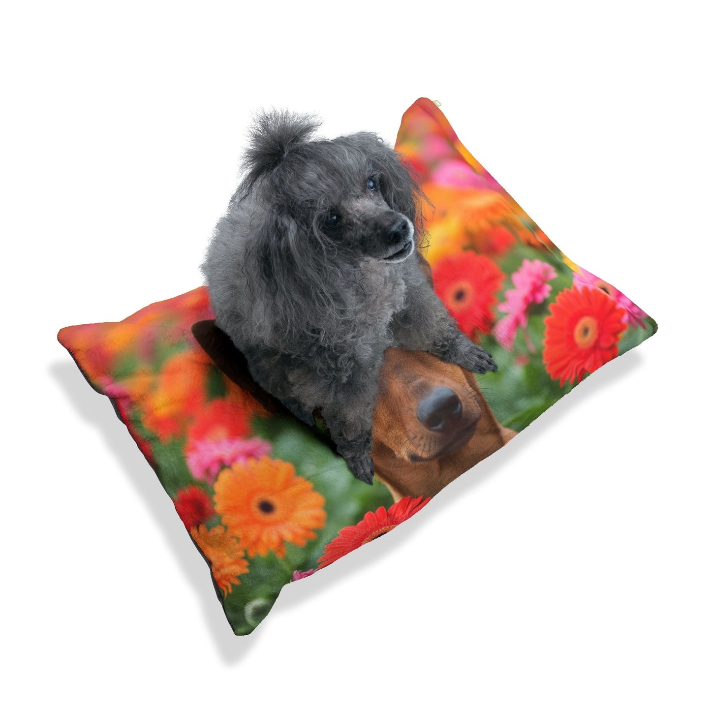 Haustierbett – Plüsch-Hundebett, 3 Größenoptionen