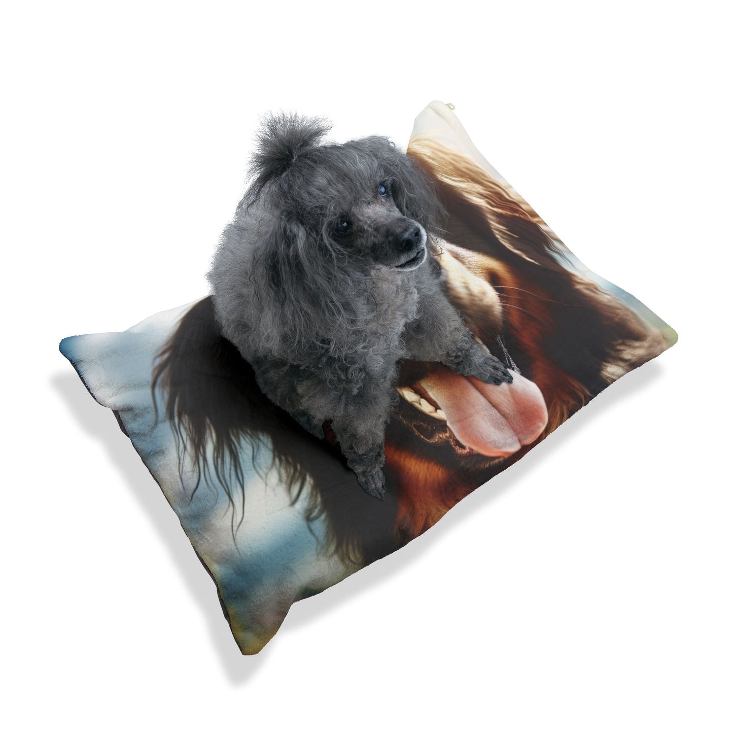 Lit pour animaux de compagnie – Lit douillet pour chien, 3 tailles disponibles