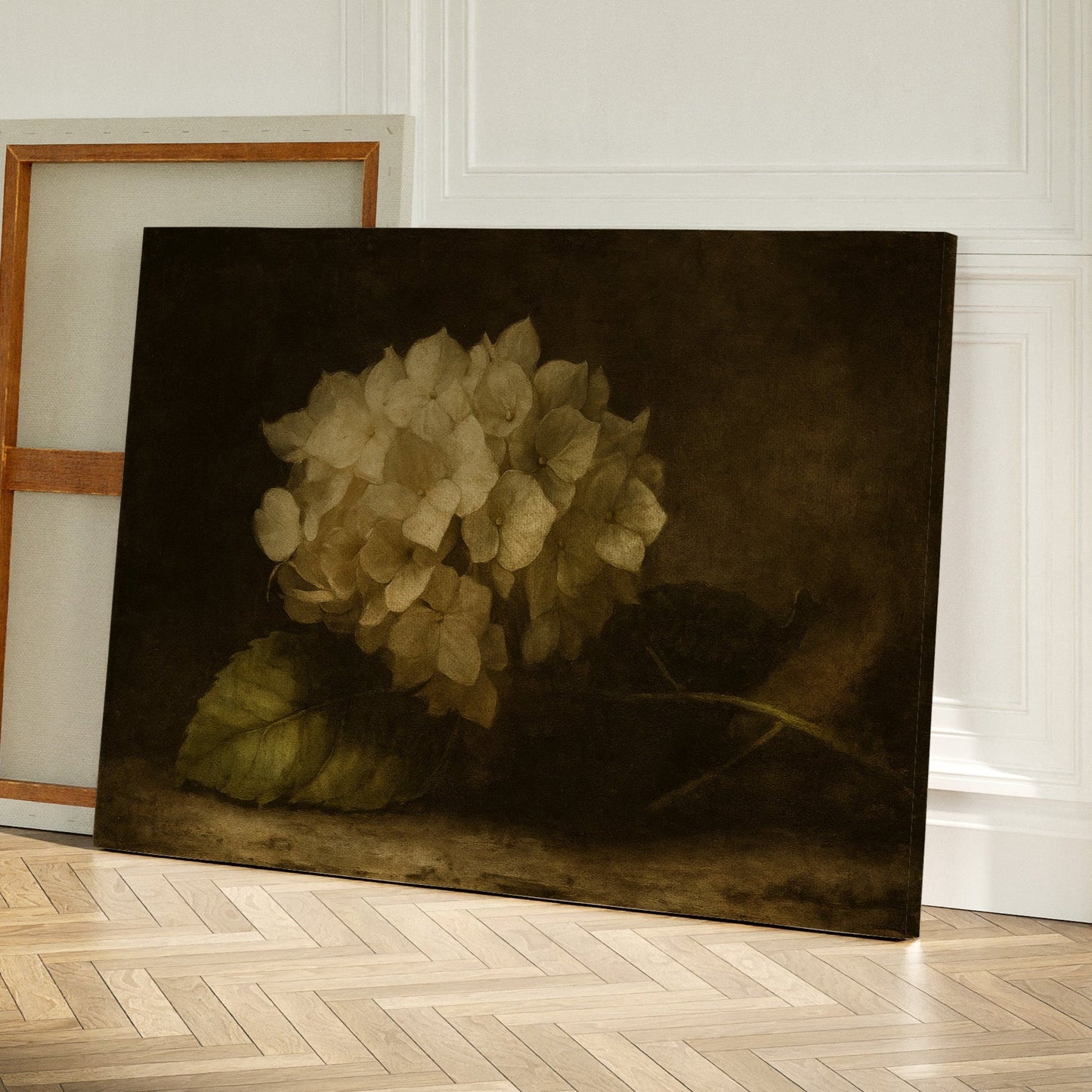 Verblasste Eleganz Hortensie