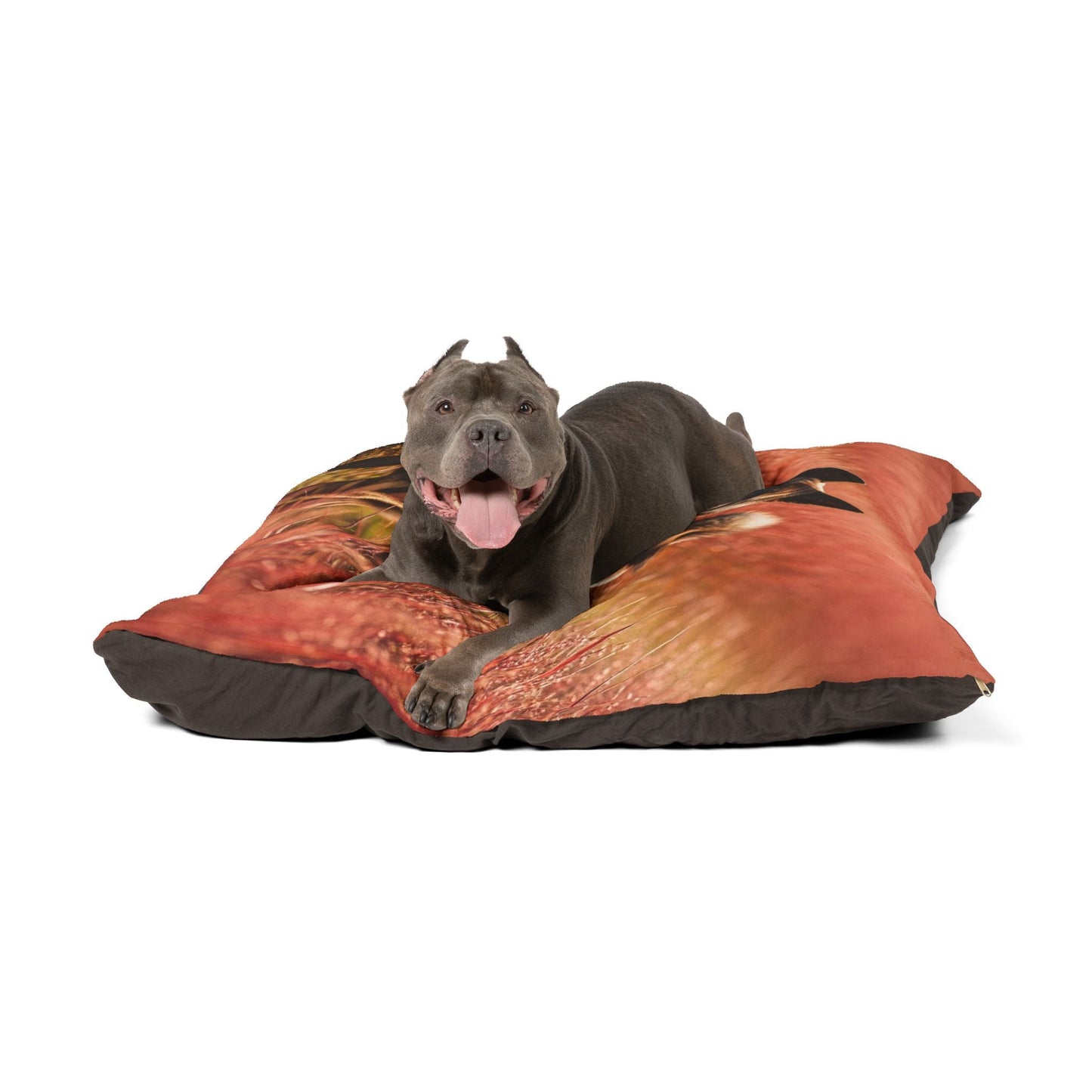 Pet Bed – Plush Dog Bed, 3 Size Options