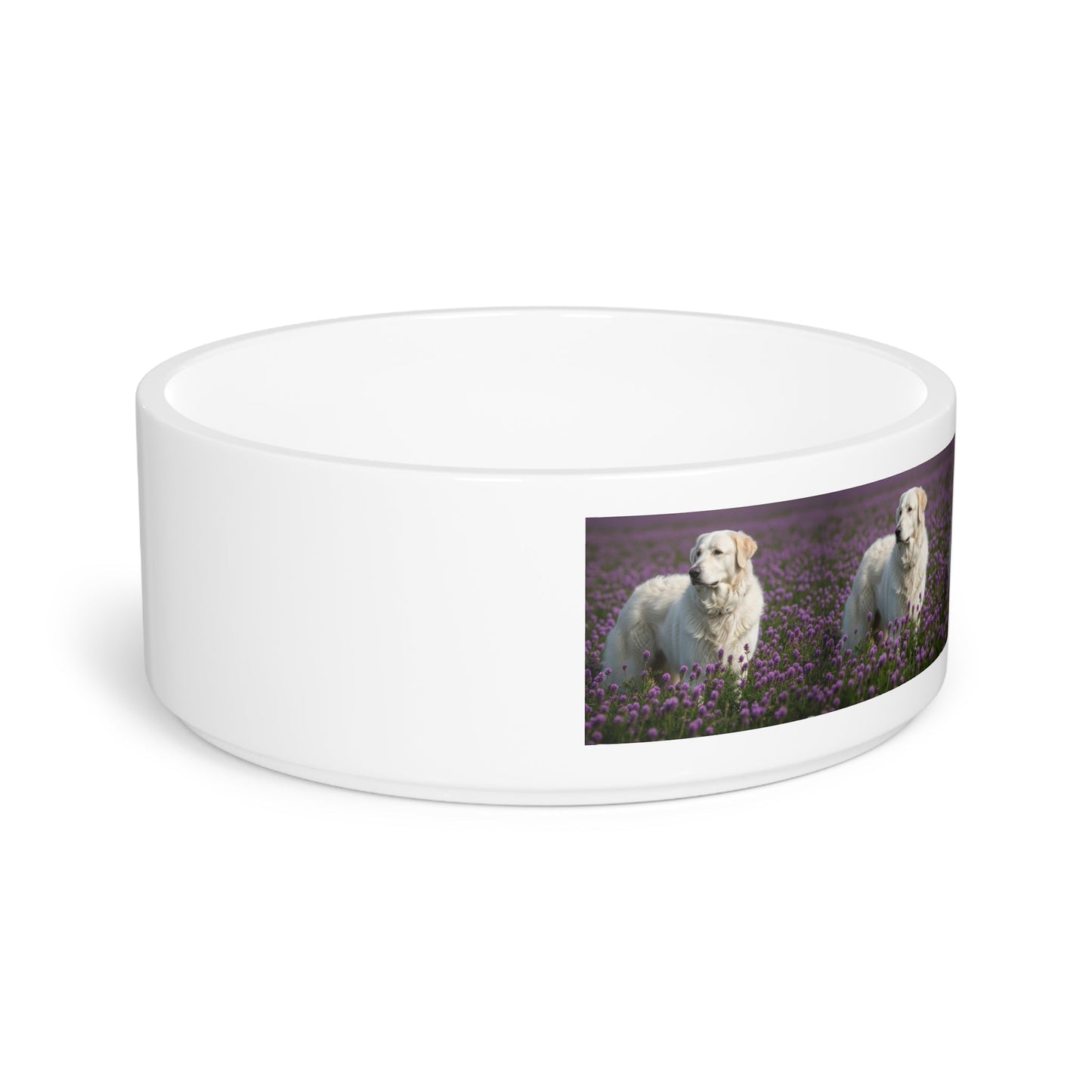 Gamelle en céramique pour animaux de compagnie – Gamelle de 47 cl pour chien