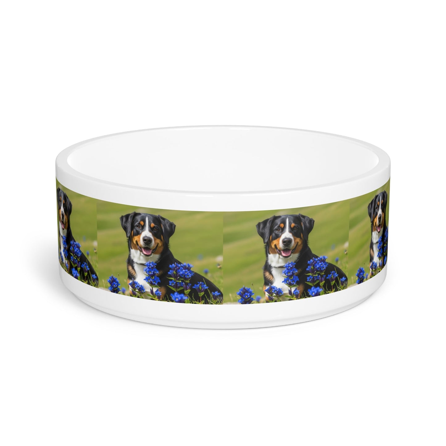 Ceramic Pet Bowl – 16 oz Dog Feeding Bowl