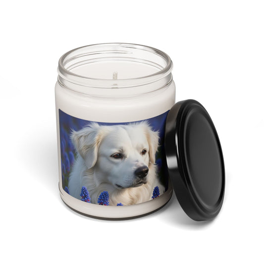 Soy Candle – Scented Jar Candle
