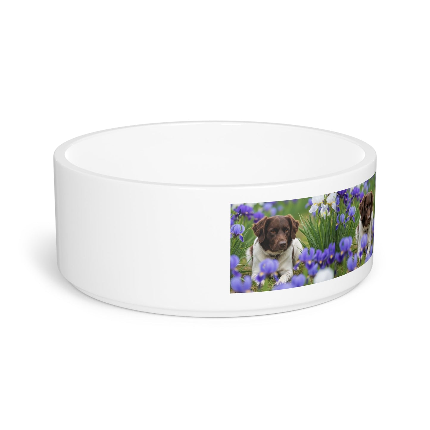 Ceramic Pet Bowl – 16 oz Dog Feeding Bowl