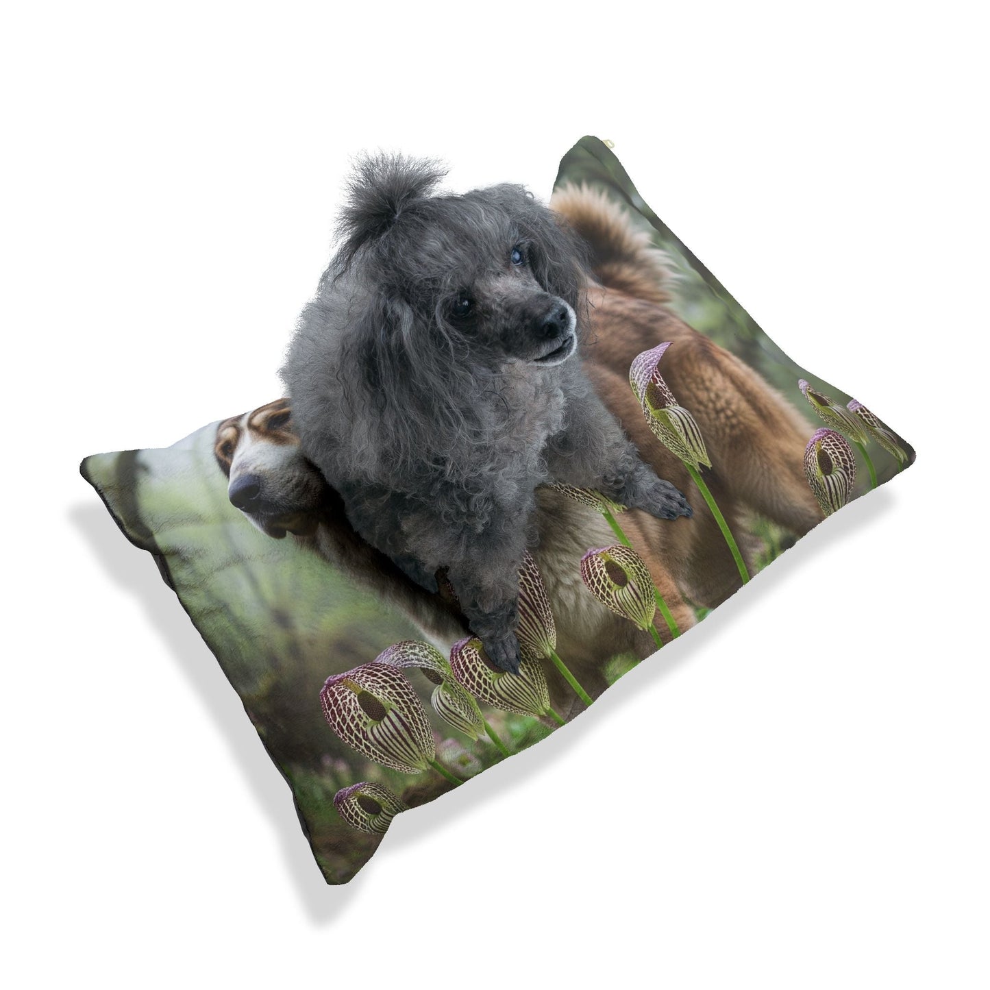 Pet Bed – Plush Dog Bed, 3 Size Options
