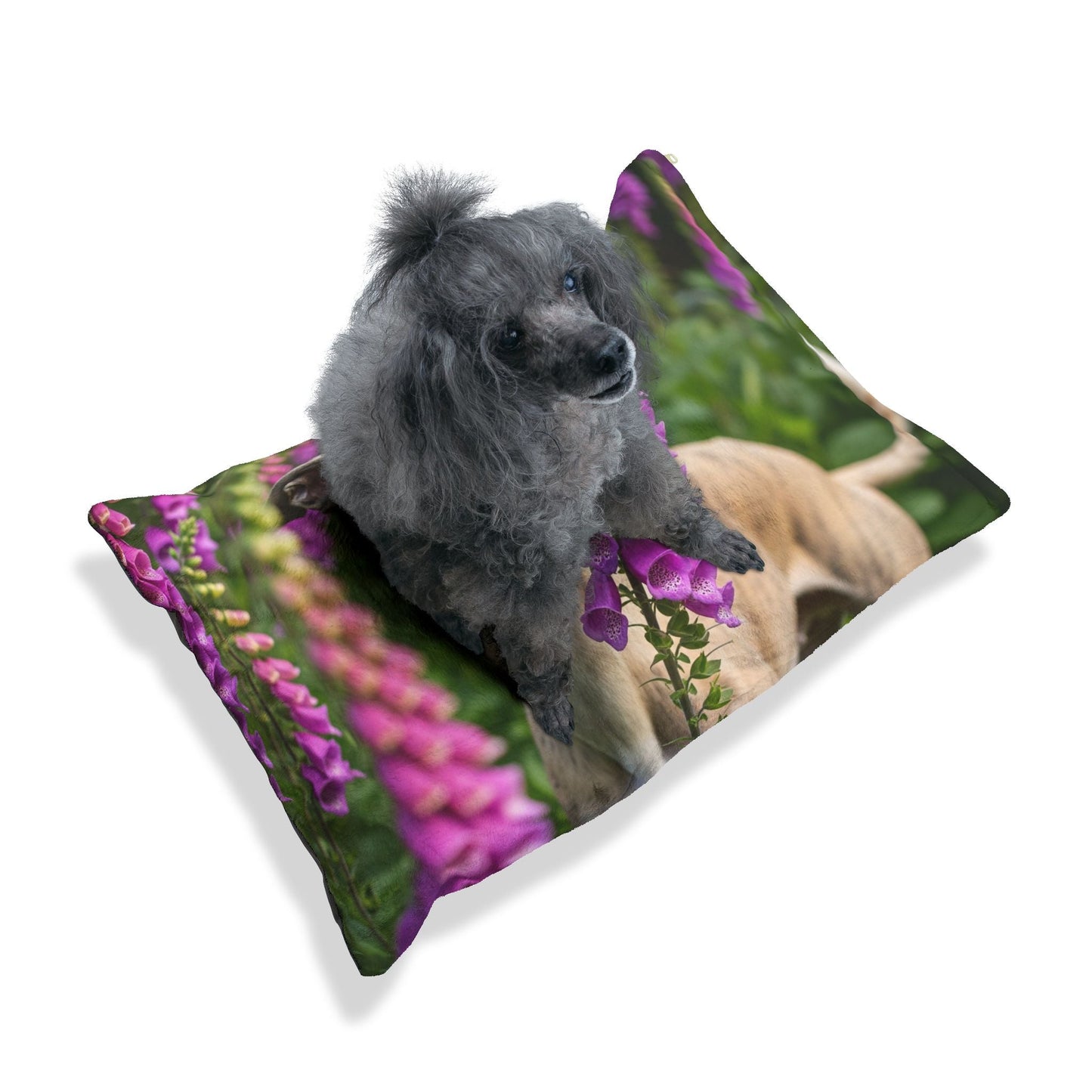 Pet Bed – Plush Dog Bed, 3 Size Options