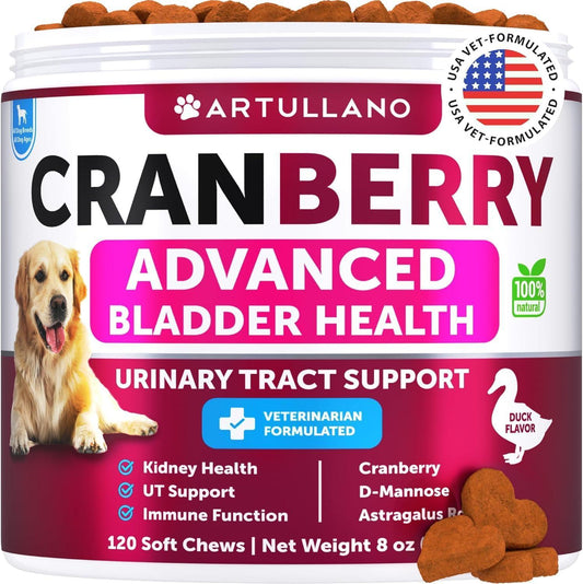 Dog UTI Treatment Cranberry Supplement Bladder Control