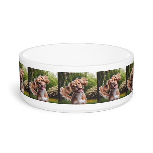 Ceramic Pet Bowl – 16 oz Dog Feeding Bowl