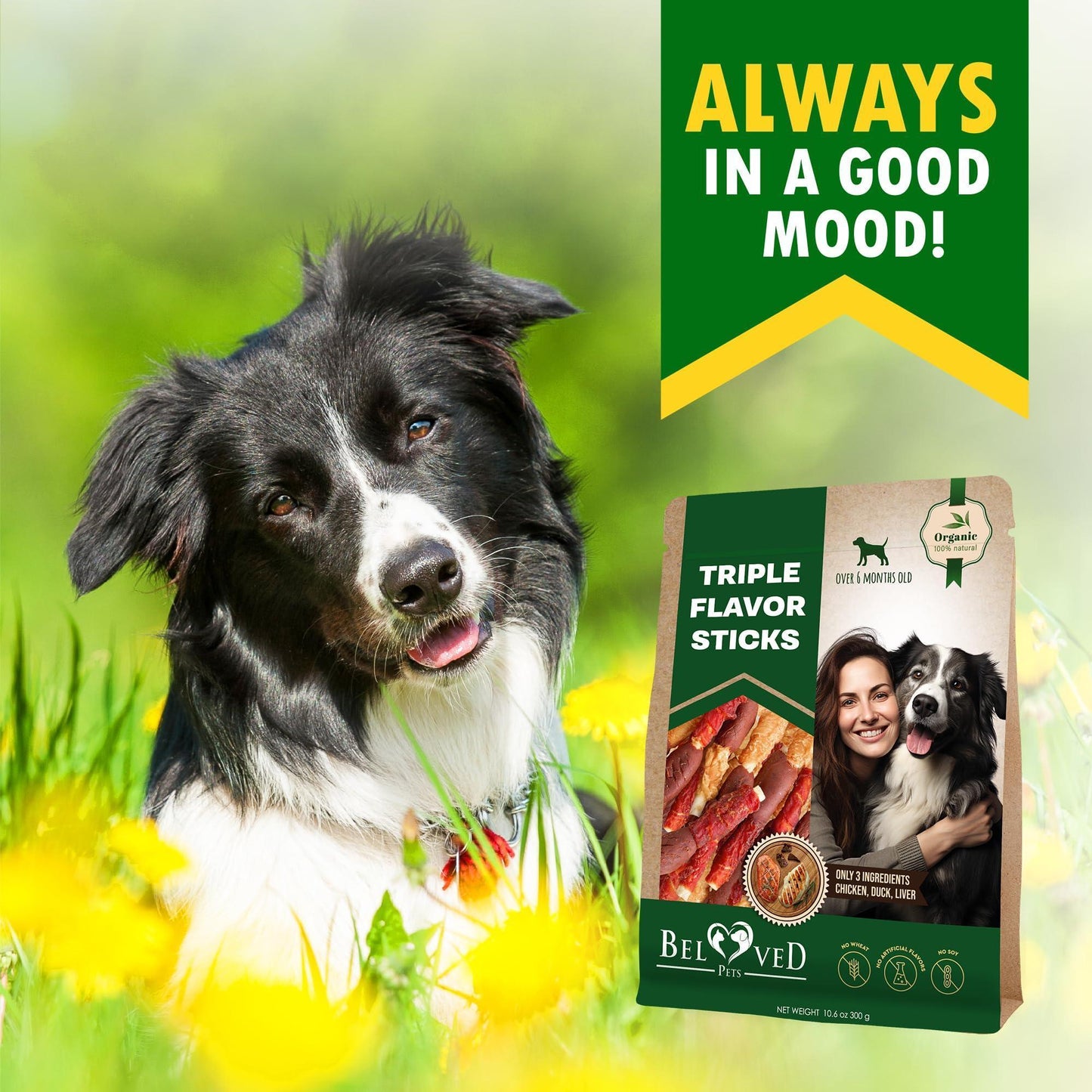 Triple Flavor Dog Rawhide Treats Duck & Chicken Human Grade Meat Natural & Organic Pet Dried Snacks Grain Free Long Lasting Chews for Large & Small Dogs Best Sticks for Healthy Teeth