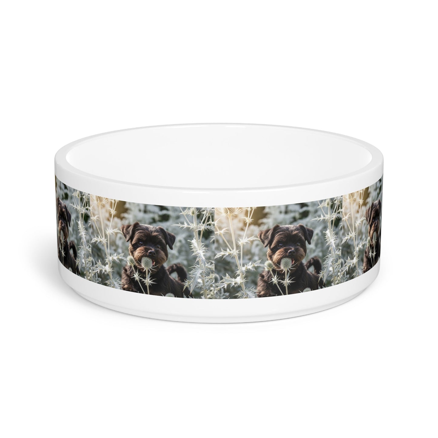 Ceramic Pet Bowl – 16 oz Dog Feeding Bowl