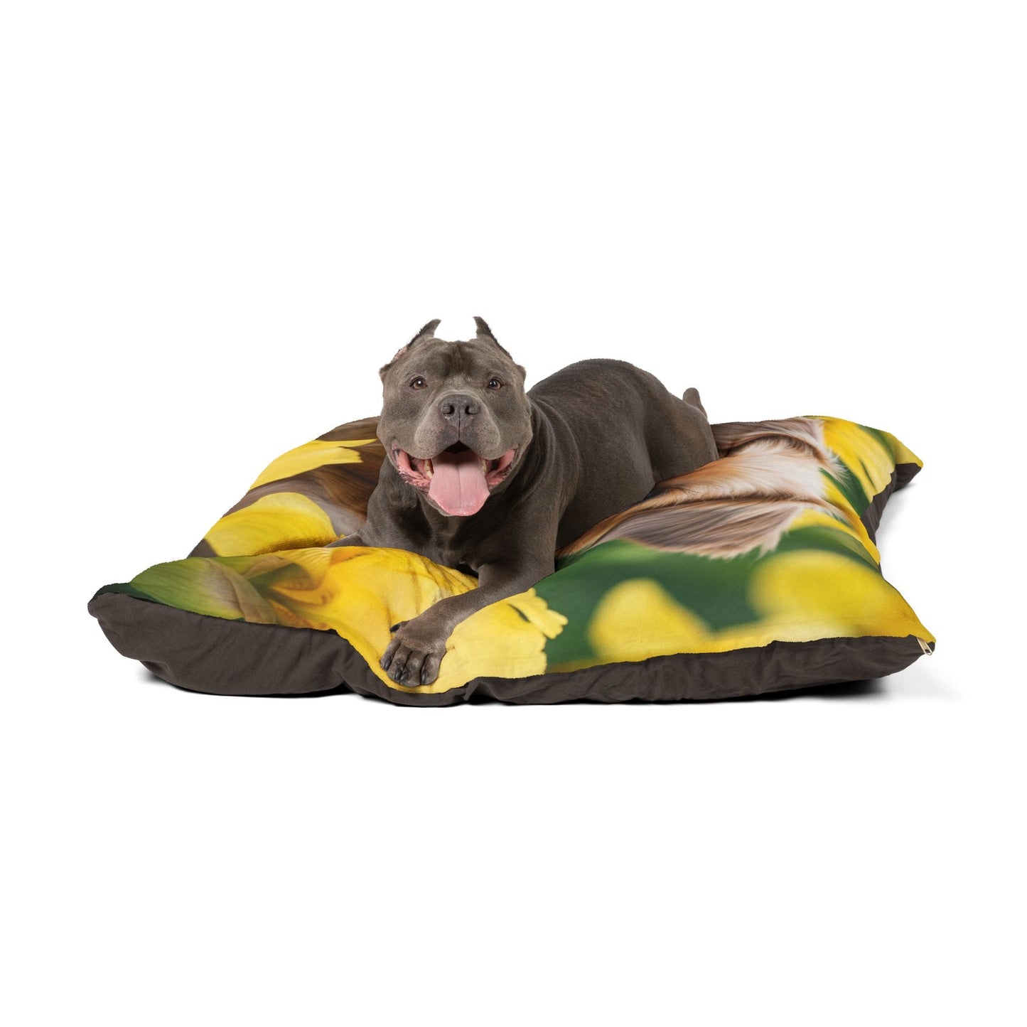 Pet Bed – Plush Dog Bed, 3 Size Options