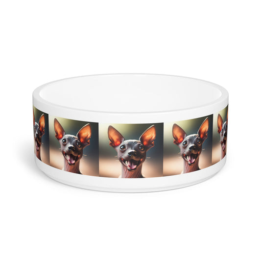 Ceramic Pet Bowl – 16 oz Dog Feeding Bowl