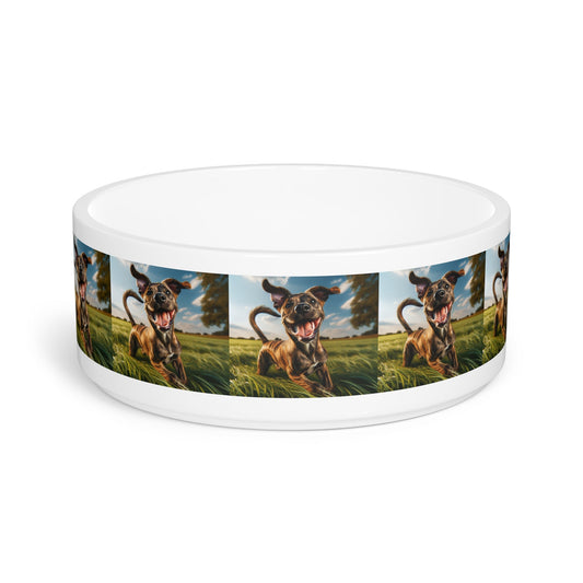 Ceramic Pet Bowl – 16 oz Dog Feeding Bowl