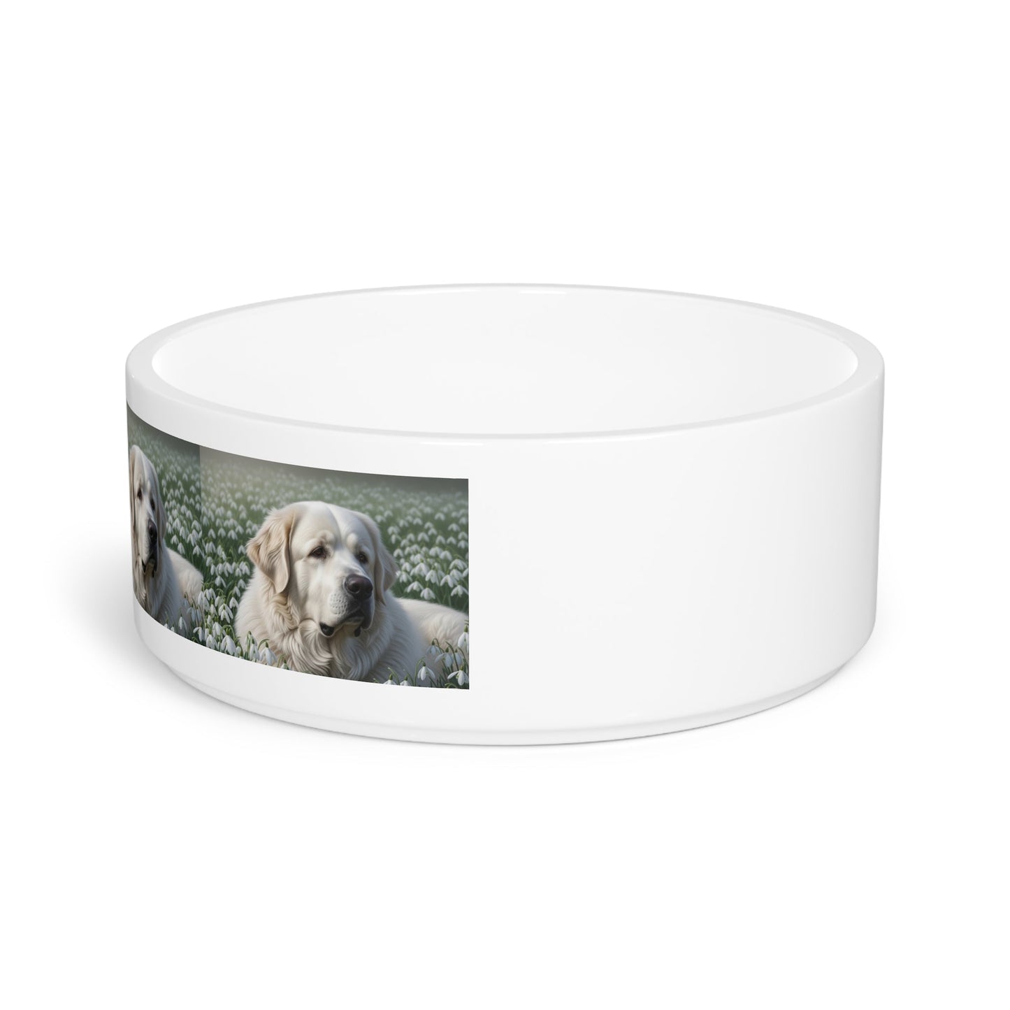 Ceramic Pet Bowl – 16 oz Dog Feeding Bowl