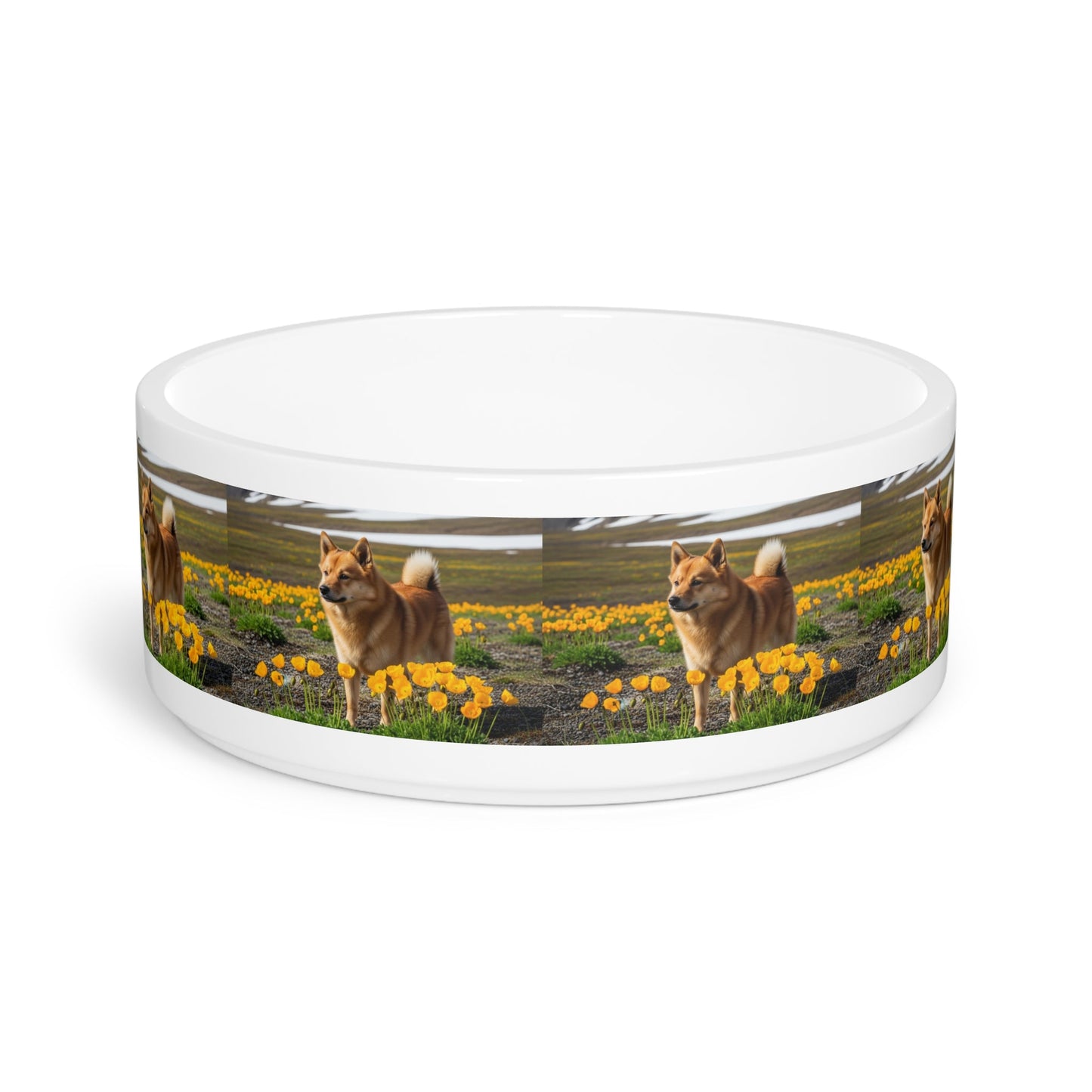 Ceramic Pet Bowl – 16 oz Dog Feeding Bowl
