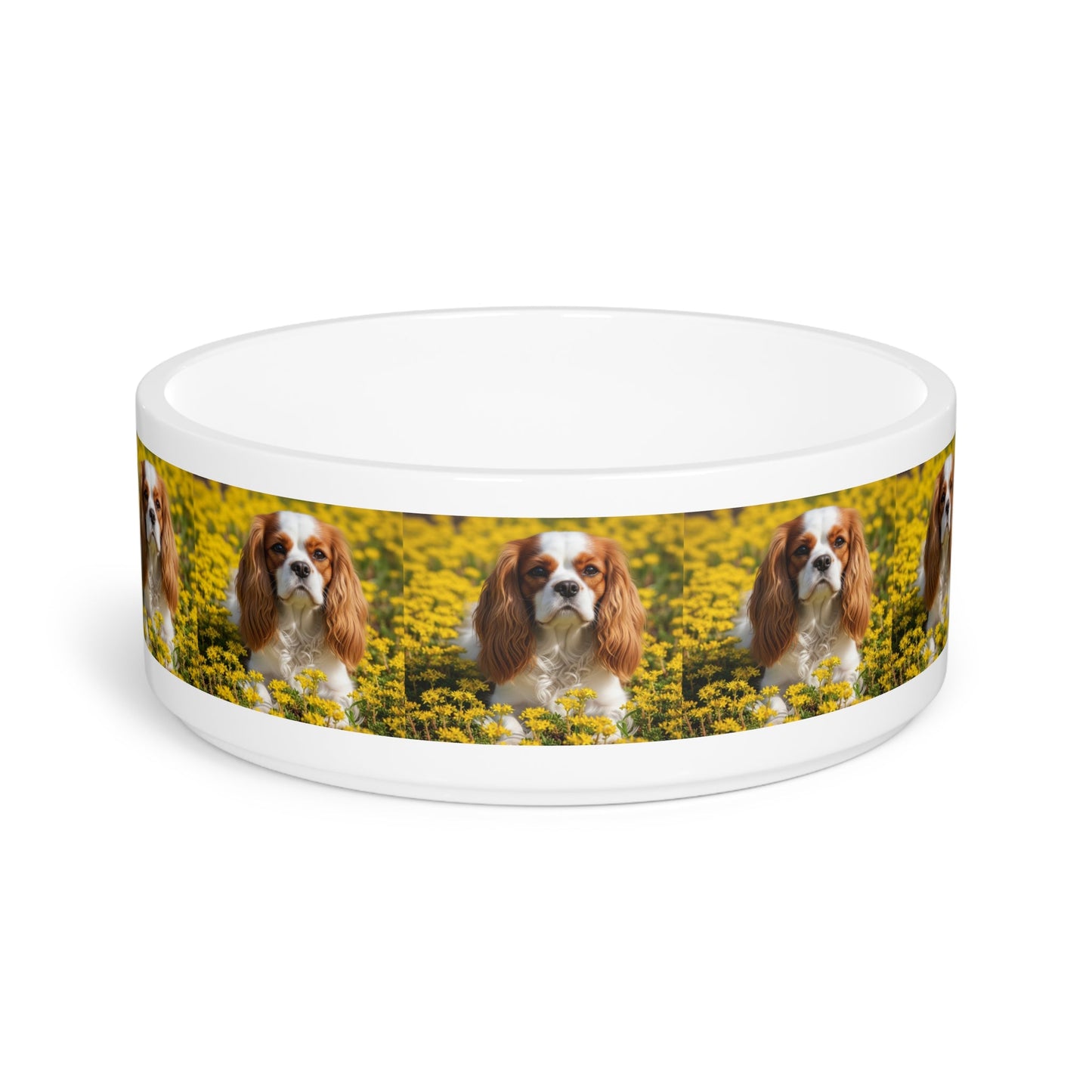 Ceramic Pet Bowl – 16 oz Dog Feeding Bowl