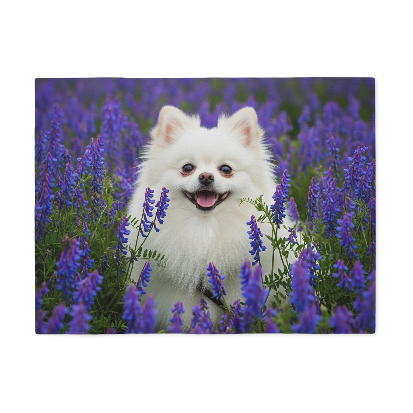 Sweatshirt Blanket – Plush Fleece Throw, 2 Size Options