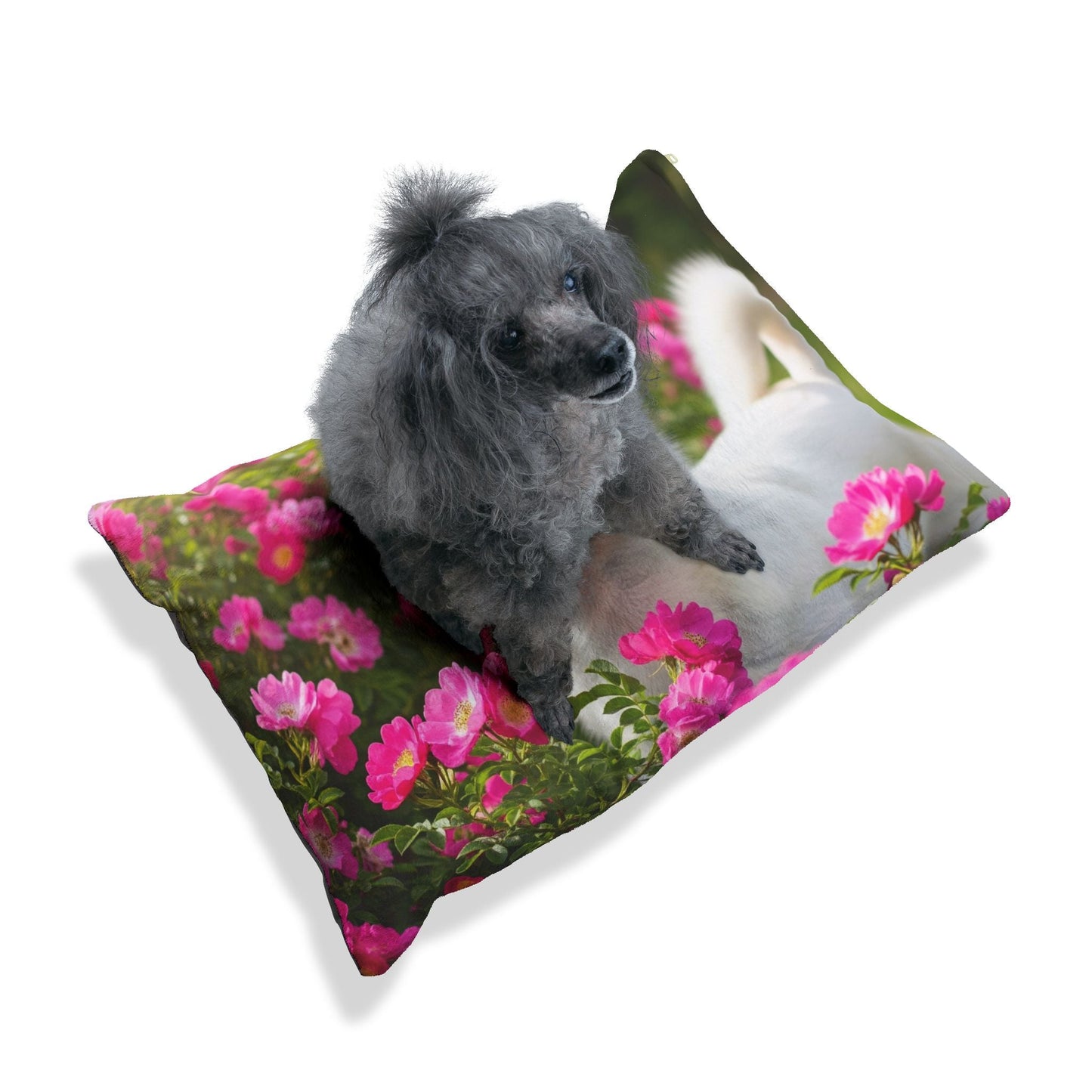 Pet Bed – Plush Dog Bed, 3 Size Options