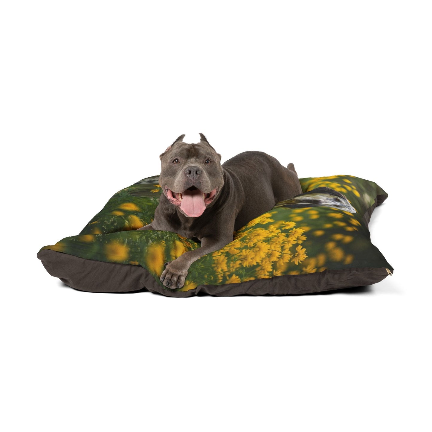 Haustierbett – Plüsch-Hundebett, 3 Größenoptionen