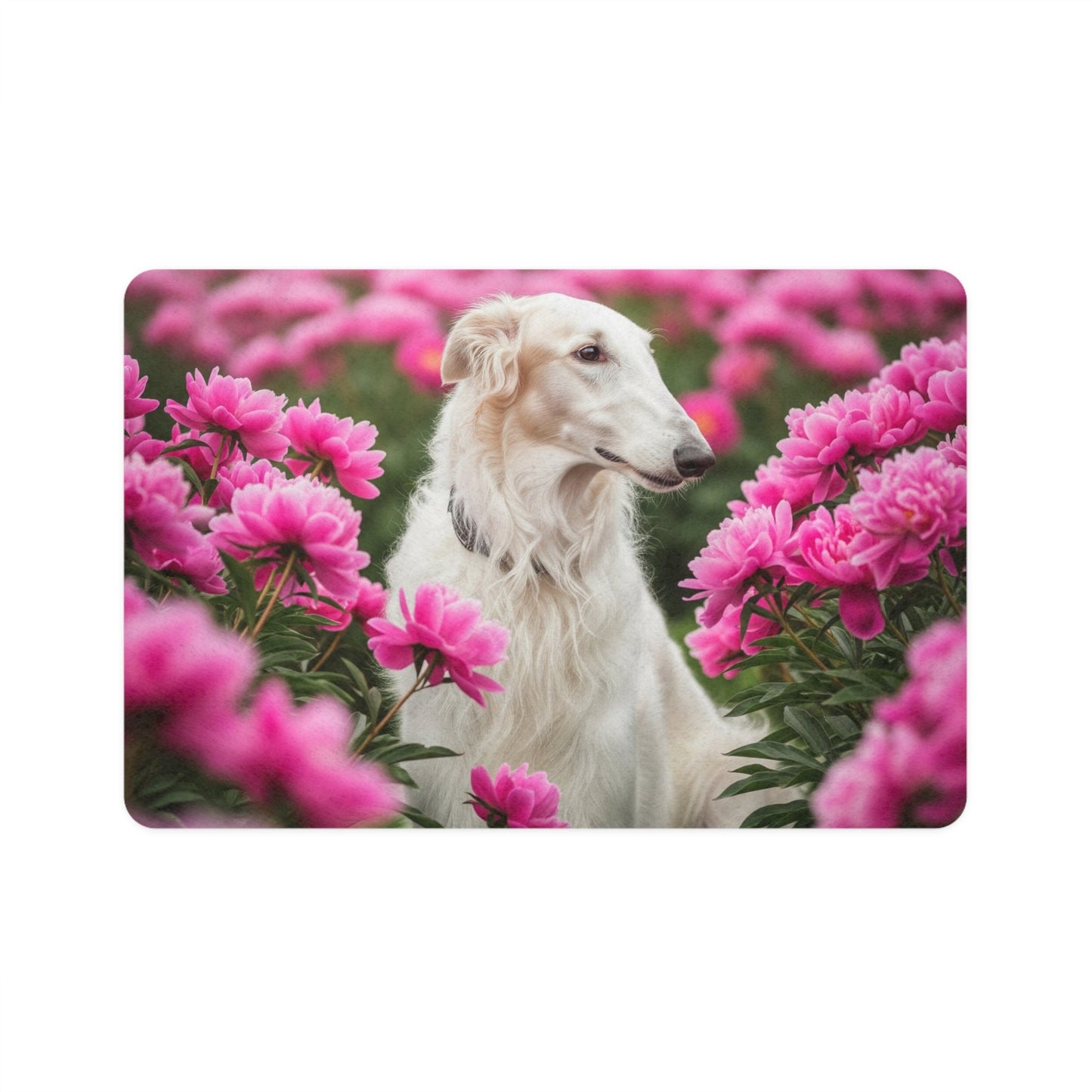 Tapis antidérapant pour animaux de compagnie – Tapis d'alimentation étanche pour chiens