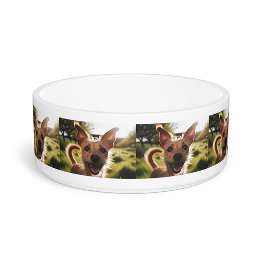 Ceramic Pet Bowl – 16 oz Dog Feeding Bowl