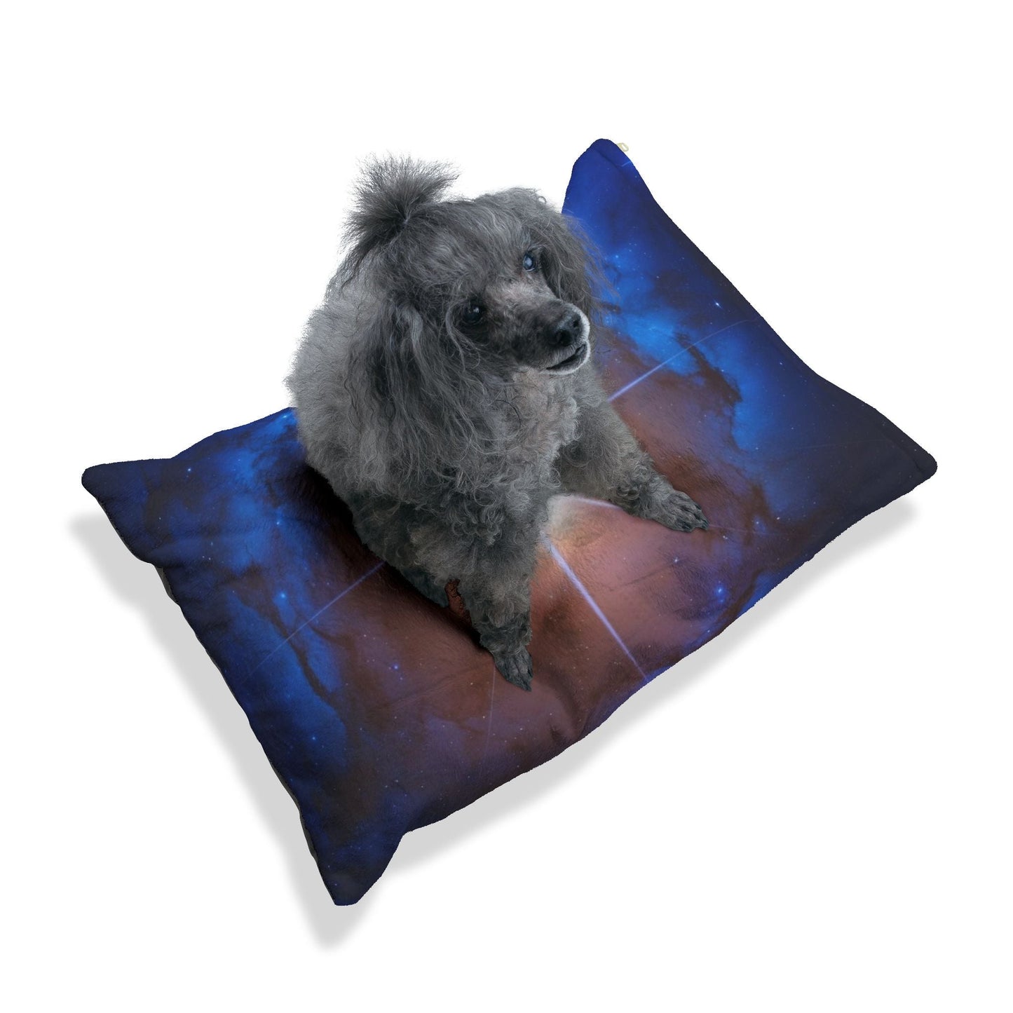 Lit pour animaux de compagnie – Lit douillet pour chien, 3 tailles disponibles