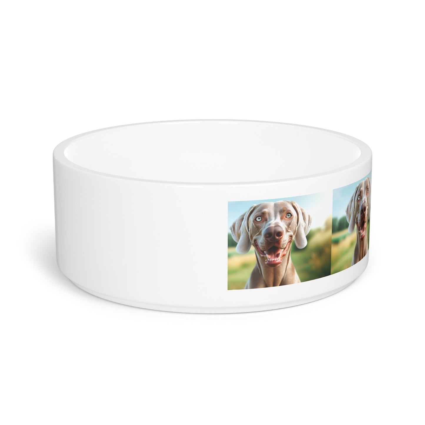Ceramic Pet Bowl – 16 oz Dog Feeding Bowl