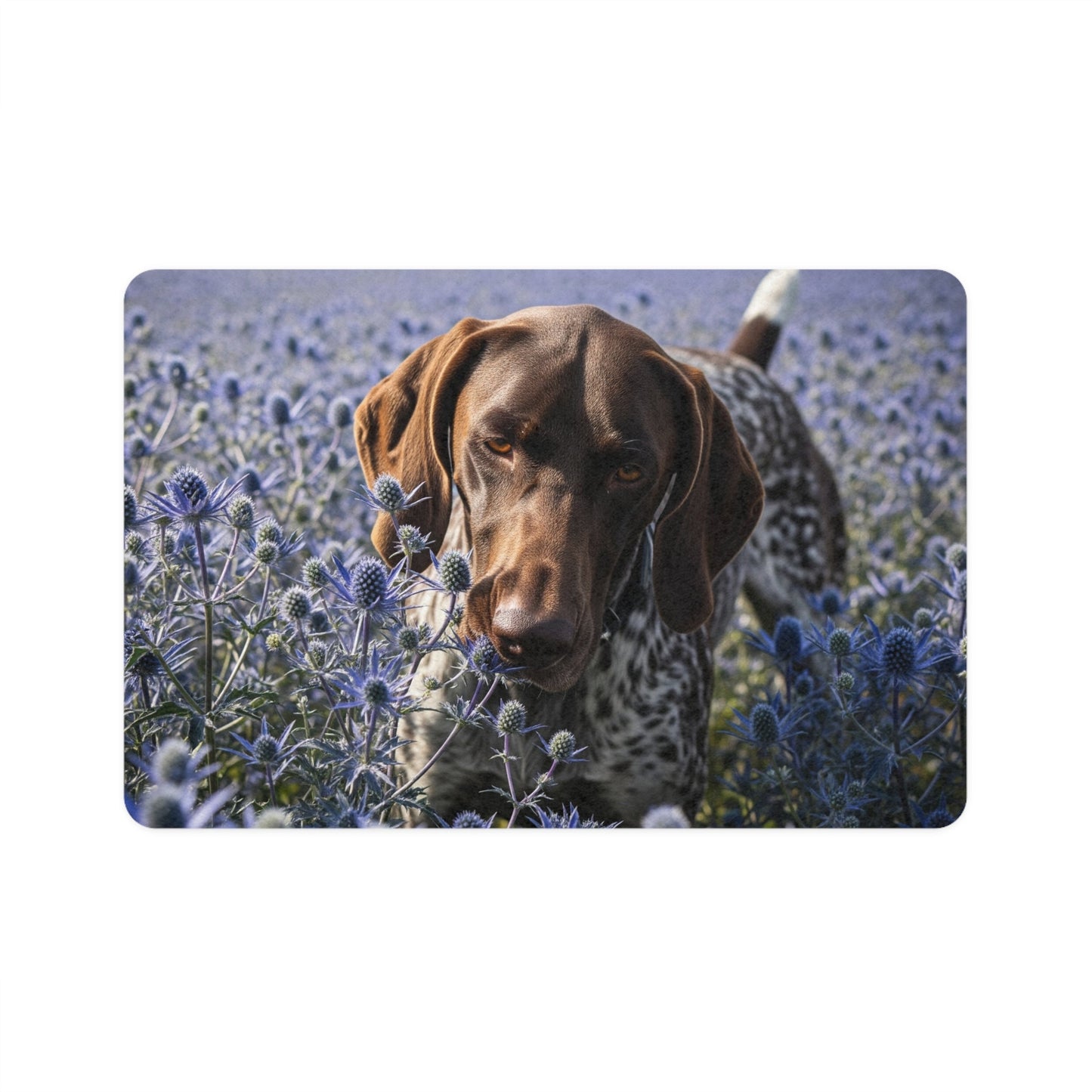 Tapis antidérapant pour animaux de compagnie – Tapis d'alimentation étanche pour chiens