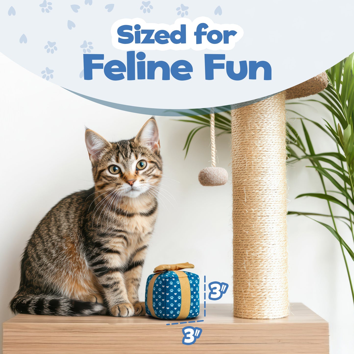 PUPROAR Gift Box Cat Toy | Cute Catnip & Crinkle Birthday Cat Toy