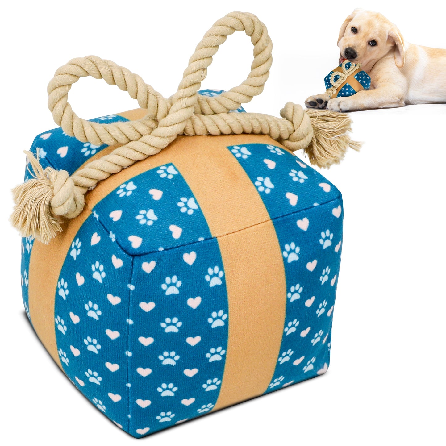 PUPROAR Gift Box Dog Toy | Cute Squeaky Birthday Dog Toy with Rope Bow