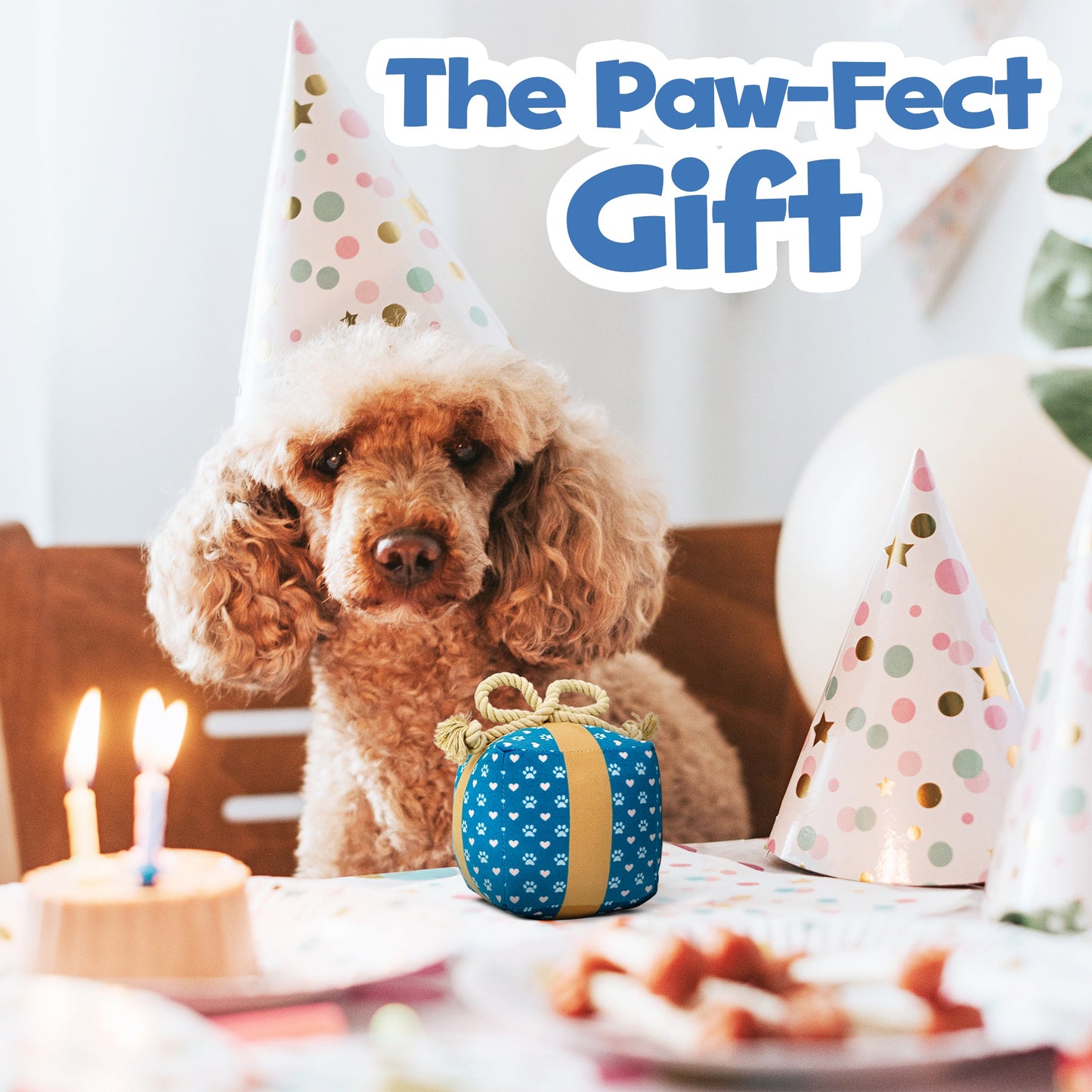 PUPROAR Gift Box Dog Toy | Cute Squeaky Birthday Dog Toy with Rope Bow